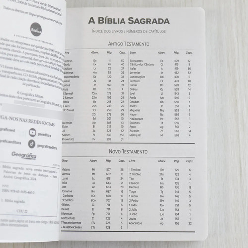 Bíblia Sagrada Leão Vencedor | Nvi | Letra Normal | Capa Brochura, De Vários Autores. Nvi, Vol. 1. Editorial Plenitude, Capa Mole Em Português, 2024
