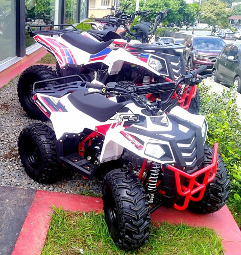 Cuatrimoto Polar 110 Motor 4t