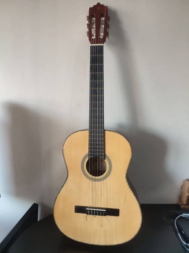 Guitarra Acústica Palmer 