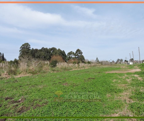 Venta De Chacra A 3 Km De Uam, Montevideo