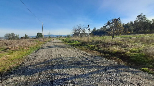 Parcelas De Agrado En Venta, Molina