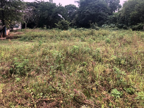 Imagen 14 de 14 de Terreno - San Juan Bautista Tuxtepec