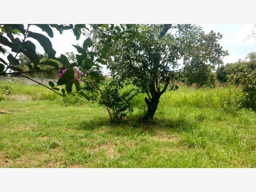 Imagen 3 de 12 de Terreno En Venta Ixtlahuacan