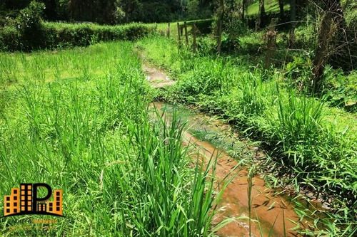 Imagem 30 de 30 de Chácara À Venda 1.900m2, Casa 04 Dormitórios Bairro Carolinos Próximo Do Centro De São Lourenço Da Serra -sp - Ch07796 - 70650142