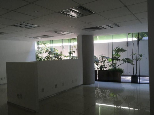 Oficina En Lomas De Virreyes Chapultepec En Renta
