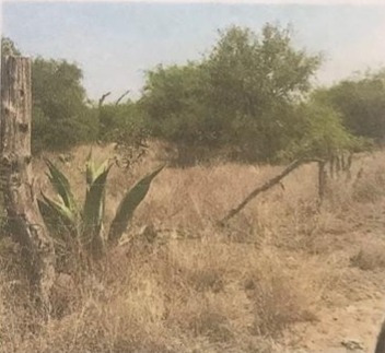 Imagen 7 de 7 de Terreno En Venta En Las Maravillas