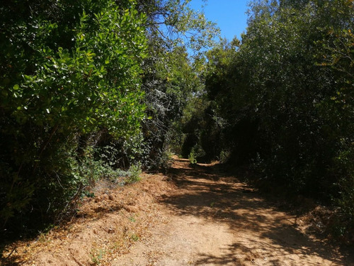 Vende Parcelas Fundo El Olivo Con Rol Propio Aprobadas Sag