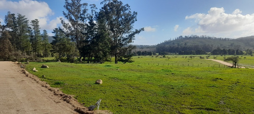 Imagen 12 de 22 de Hermosas Parcelas En Fundo La Quirigua Vichuquén