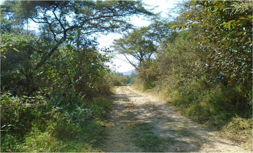 Terreno En Venta En Temascaltepec.