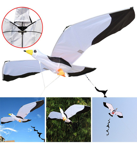 Hermosa De Gaviota En 3d Para Niños Y Adultos, De C