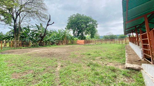 Imagen 17 de 25 de Jd. Se Vende Hermosa Finca En San Antonio De Caparo