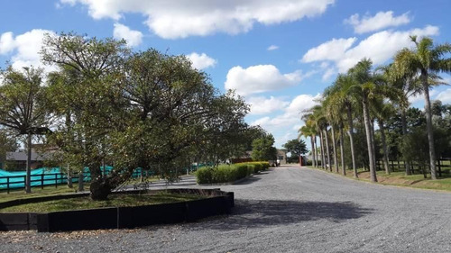 Imagen 7 de 29 de Oportunidad Venta De Amplio Lote En La Mejor Zona De Polo - Caspian Polo Chacras