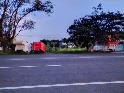 Terreno En Renta En Adolfo López Mateos, Yecapixtla, Morelos