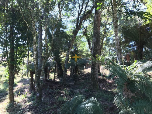 Imagem 5 de 5 de Terreno - 969