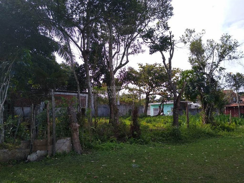 Imagem 3 de 3 de Terreno - Venda - Diplomata - Itanhaem - Ita3204