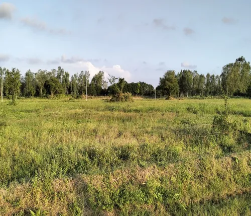 Lotes Conjunto Campestre La Bonga Sabanagrande Atlántico