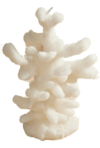 Vela Decorativa Natural Coral Branco 18cm Fragrância Não há Coral Marinho