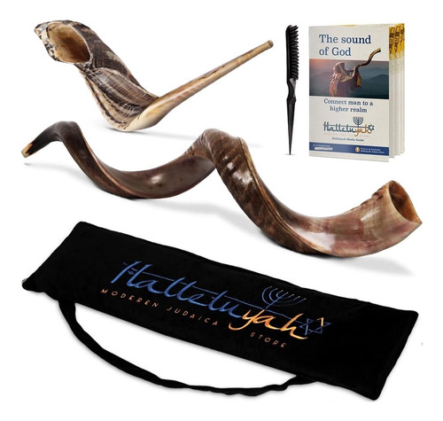 Shofar Kudu Kosher De Israel Medio Pulido 24-28 Plg