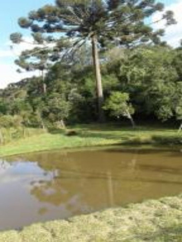 Imagem 13 de 30 de Chacara - Ch00005 - 4237262