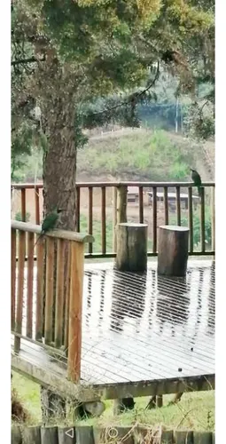 Finca En Venta, Vereda Chaparral, Guarne Antioquia