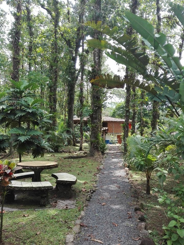 Imagen 13 de 14 de Quinta (3.2ha) Cabaña, Piscina Con Deck, Rancho Y Cabinas.