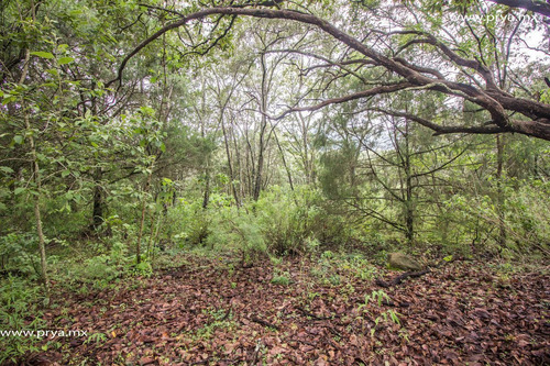 Terreno En Venta Reserva De Los Encinos, Teuchitlán