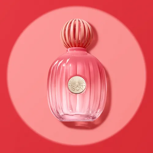 Set Banderas Perfume Mujer The Icon Splendid EDP 50 ml