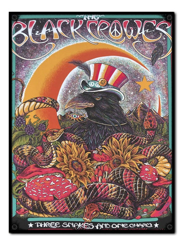 #1232 - Cuadro Decorativo Vintage - The Black Crowes Poster 