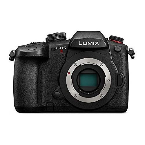 Cámara Panasonic Lumix Gh5m2 20.3mp Sin Espejo -negro