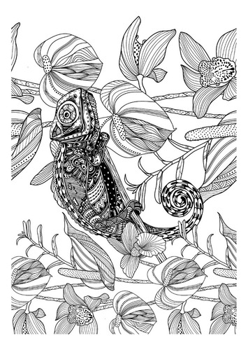 Exotic Jungle | Libro Anillado Colorear Pintar Fibra | Thoc