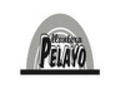 Llantera Pelayo