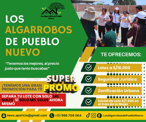 Proyecto Los Algarrobos De Pueblo Nuevo