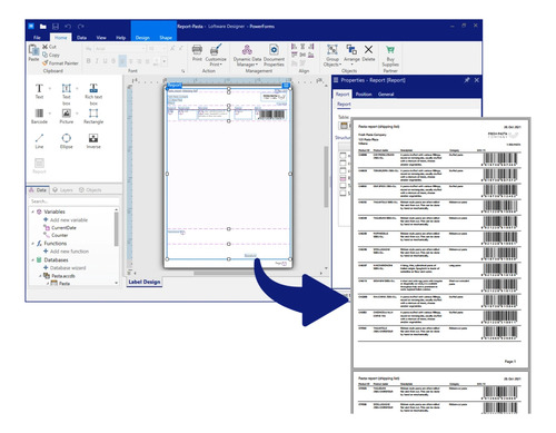 Loftware Nicelabel Designer Pro - Licencia 1 Año - Digital