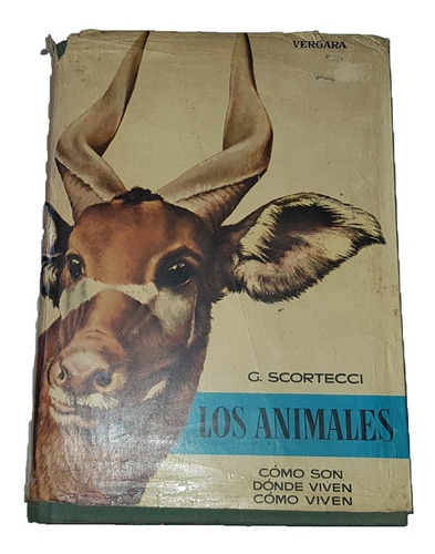 Libro Los Animales: Documental Enciclopedia