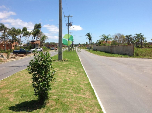 Imagem 19 de 27 de Terreno A Venda No Bairro Ervino Em Praia Do Ervino/sc - Sc. - 30175-1