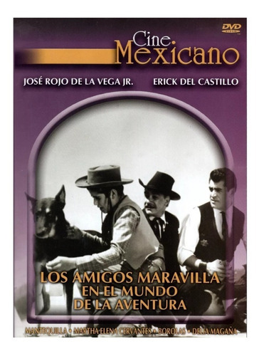 Los Amigos Maravilla En El Mundo De La Aventura Pelicula Dvd