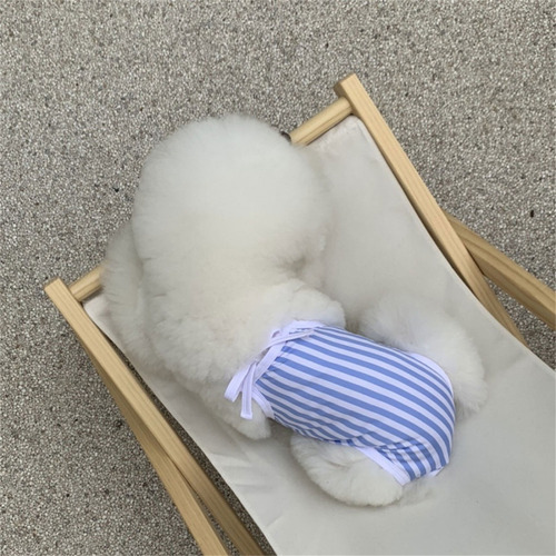 Bikinis Para Perros (s-1), Ropa De Playa De Verano Para Perr