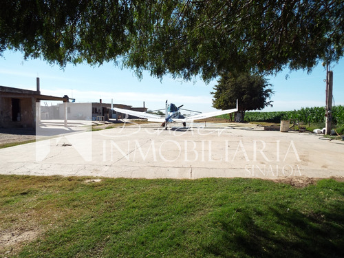 Terreno + Construcción Ahome Sinaloa