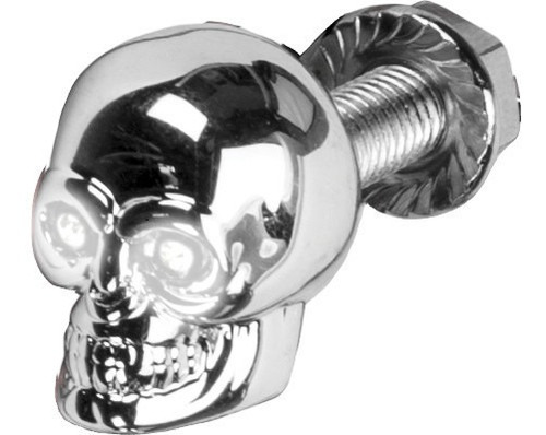 Harddrive Lighted Skull Lic Plate Screw Blanco