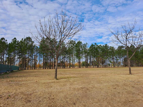 Imagen 7 de 16 de Terreno En Venta Chacras De La Villa