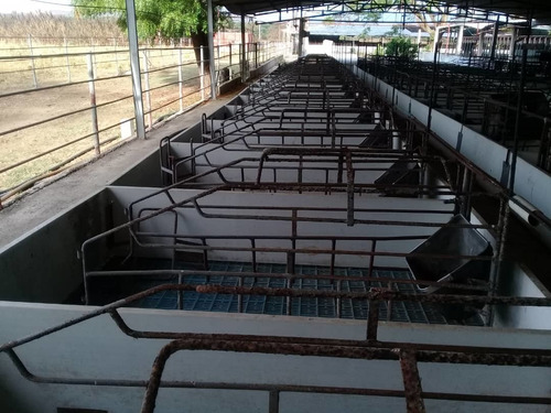 Imagen 11 de 14 de Finca En Tinaquillo . Edo Cojedes Glira