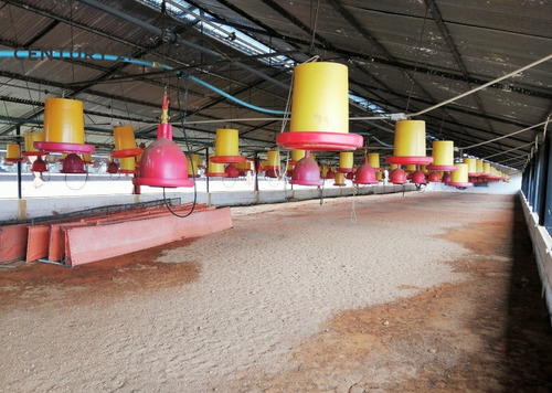 Imagen 12 de 17 de Se Vende Granja Avicola Para Inversionistas En Cantaura - Edo Anzoategui
