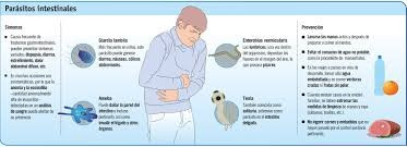 Imagen 7 de 9 de Parasitos Remedio Eficaz Y Comprobado