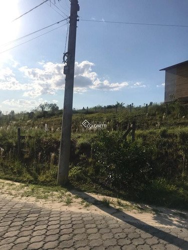 Imagem 5 de 8 de Terreno - Vila Sao Jorge - Ref: 1633 - V-1633