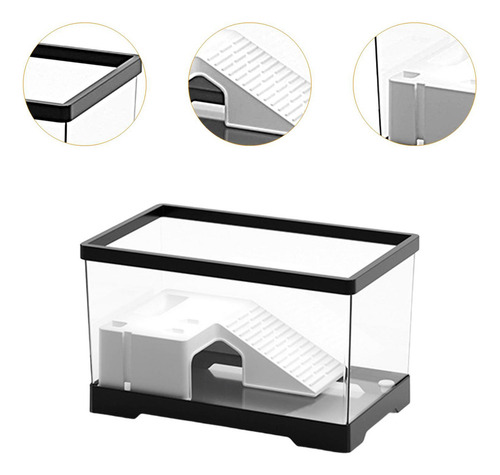 Tanque Para Tortugas De Agua Con Área De Negro Medio