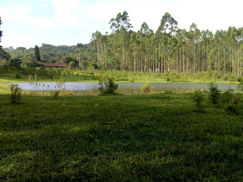 Imagem 1 de 19 de Sítio À Venda Em Juquitiba, Excelente Oportunidade! - 355 - 33553342