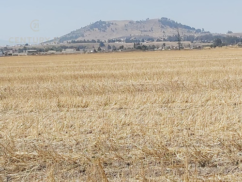Imagen 1 de 6 de Terreno - Tecaxic