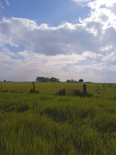 Imagen 15 de 15 de Se Vende Finca Via Al Sur Ve02-1303vs-dfer