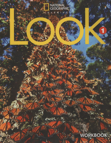 American Look 1 - Workbook
