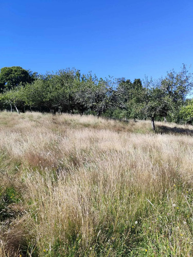 Terreno Amplio Para Proyecto De Ensueño (149130)